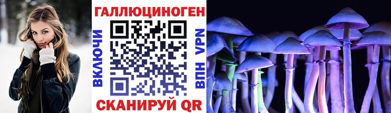 shop какой сайт  Харовск  Псилоцибиновые грибы ЛСД 
